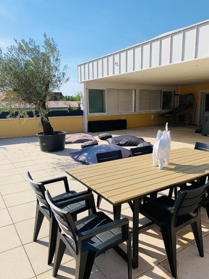 Ferienwohnung La Terrasse Du Parc Marckolsheim Exterior foto